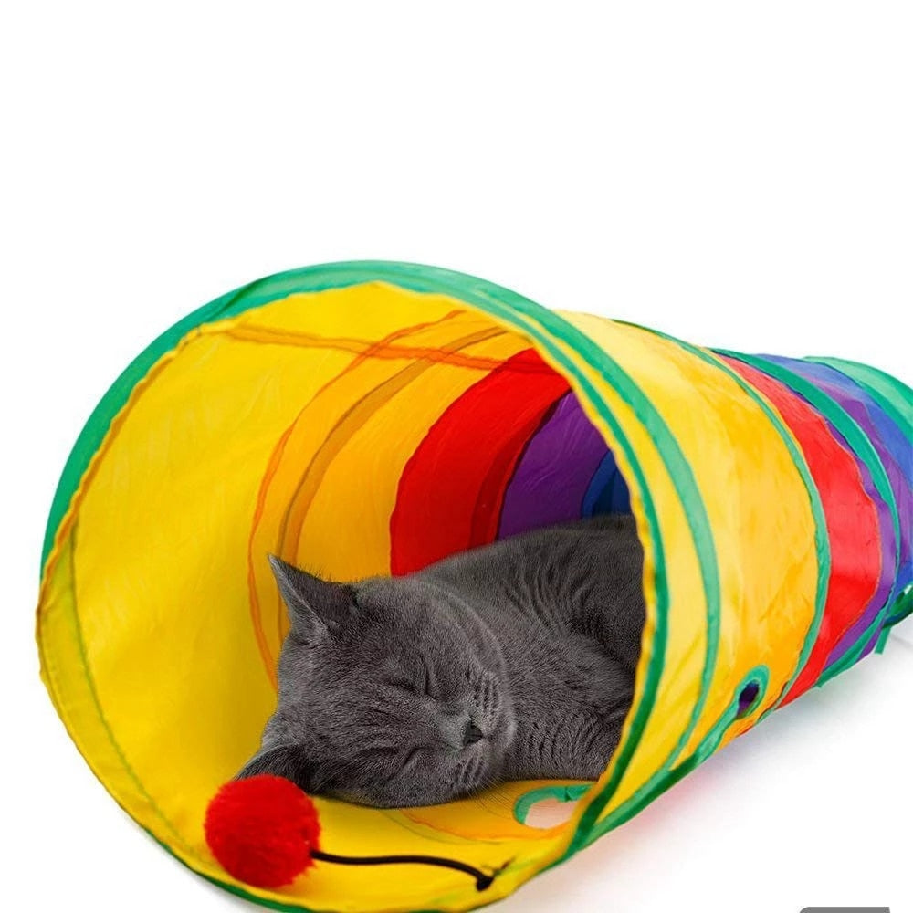 Túnel colorido com bolinha para pets