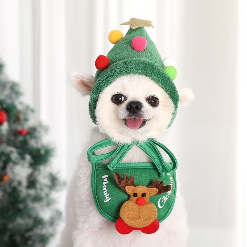 Touquinha e bandana para Natal