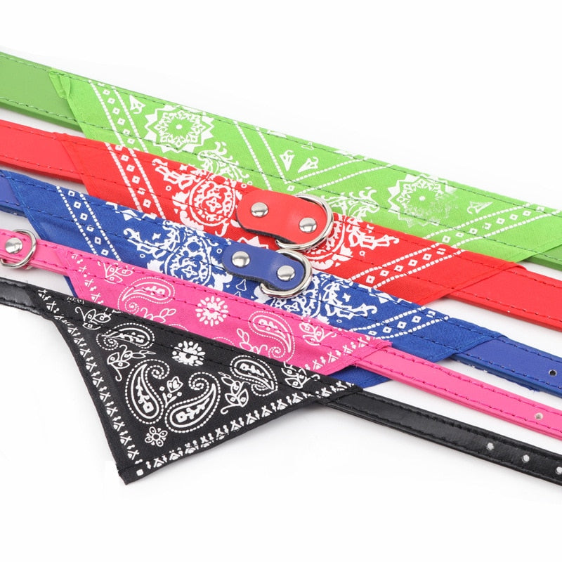 Bandana para cães e gatos