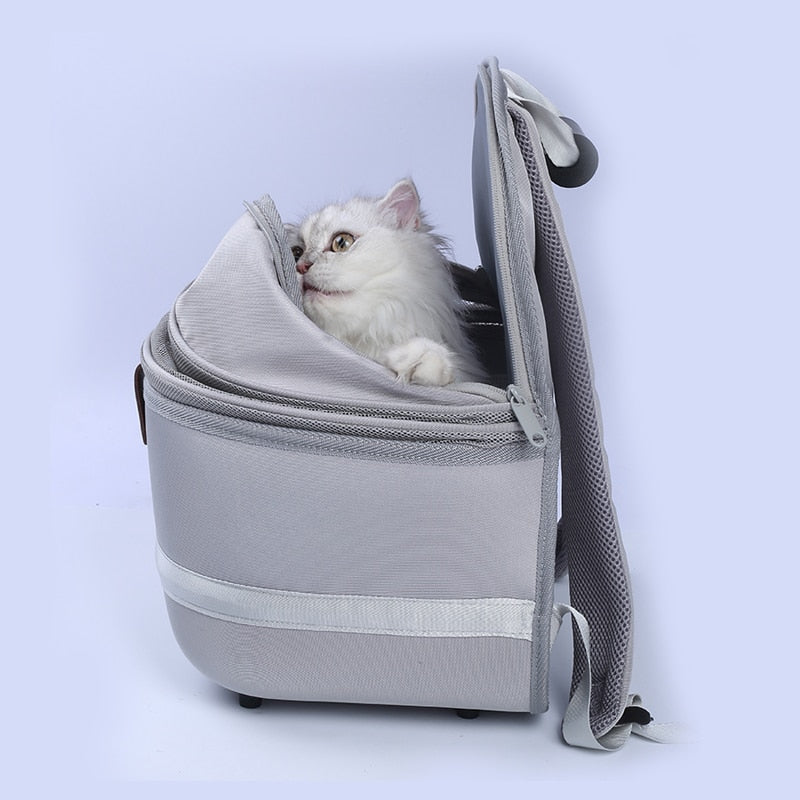 Mochila para transporte de pets