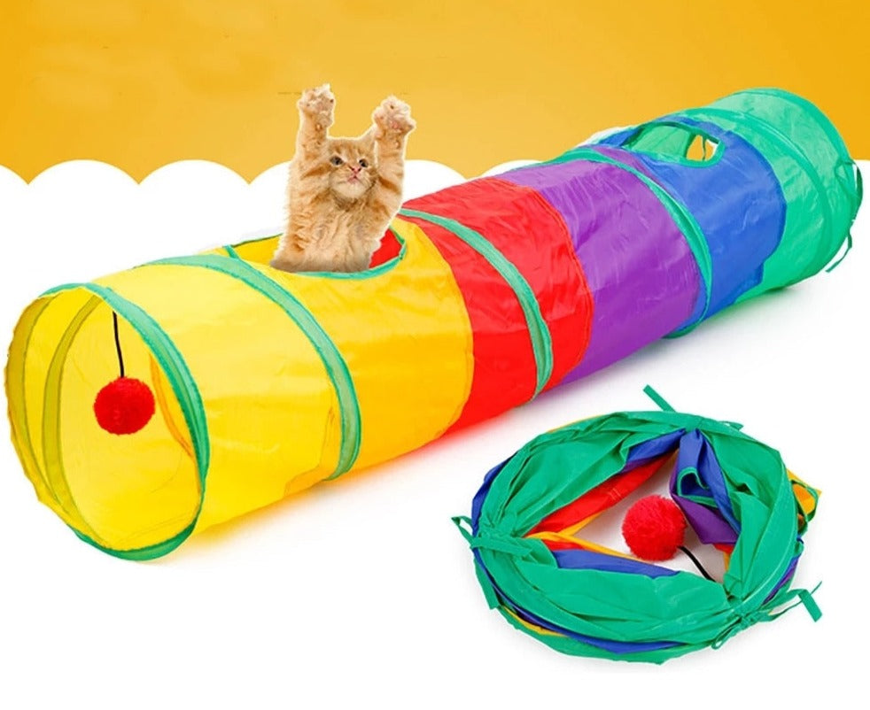 Túnel colorido com bolinha para pets