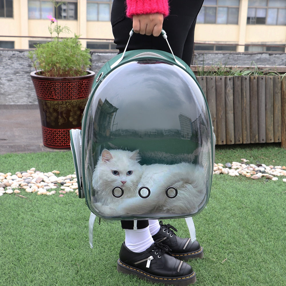 Mochila de transporte transparente para cães e gatos