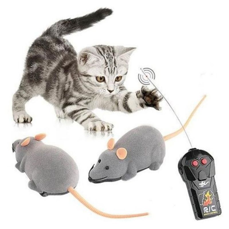 Rato de Controle remoto para Gatos