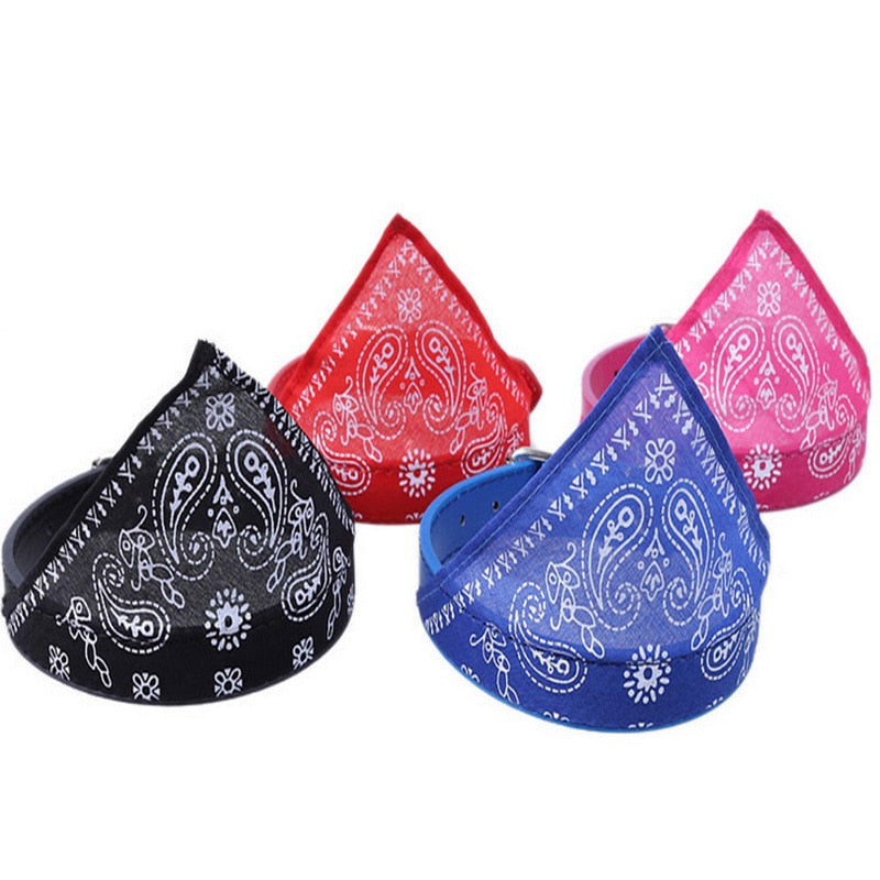 Bandana para cães e gatos