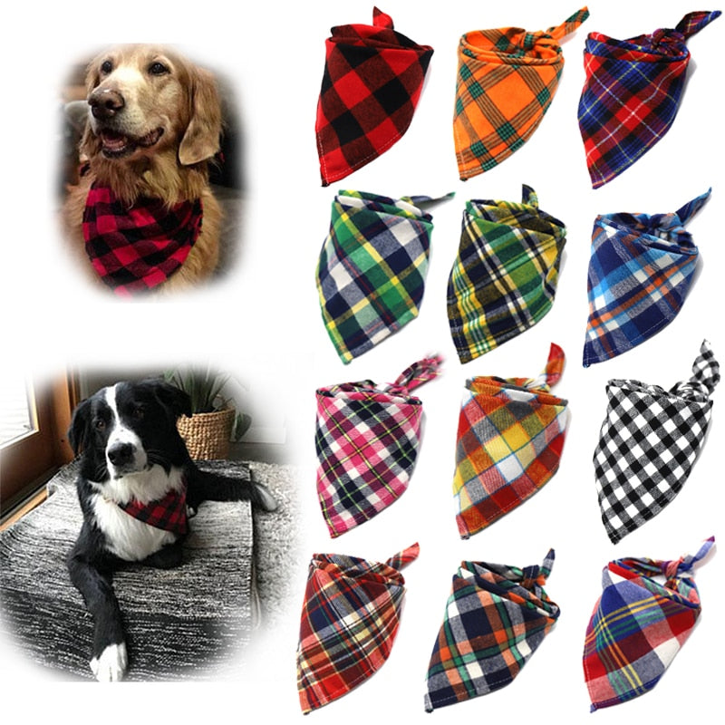 Bandanas para PETs