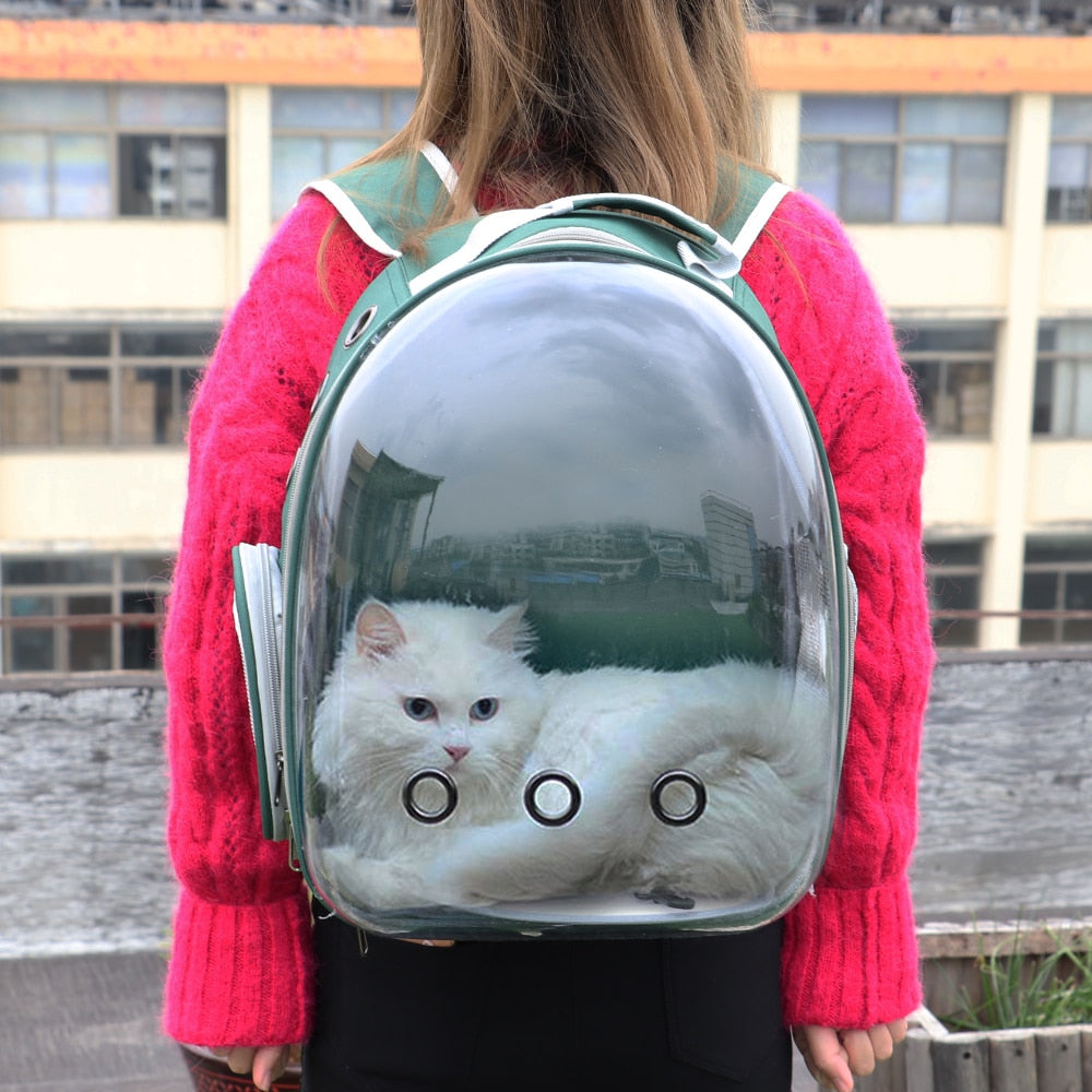 Mochila de transporte transparente para cães e gatos