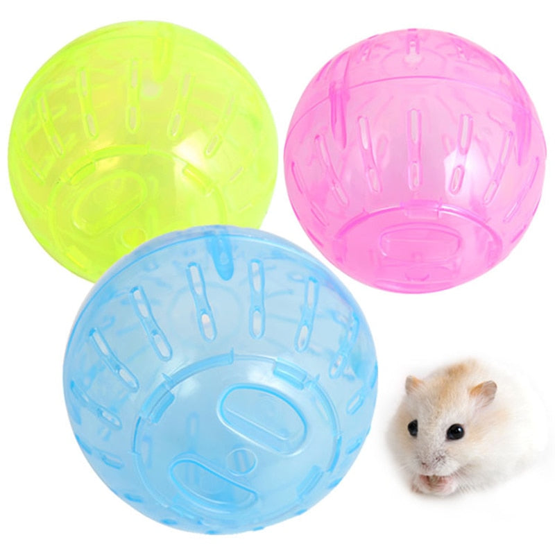 Bolinha para Hamster