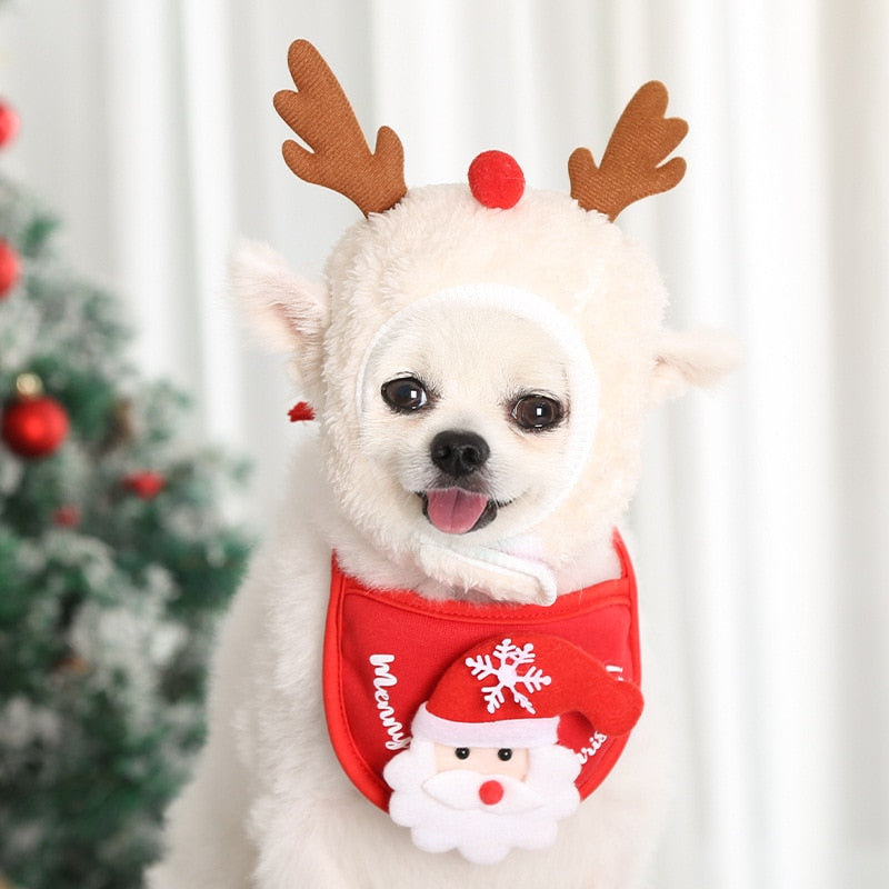 Touquinha e bandana para Natal