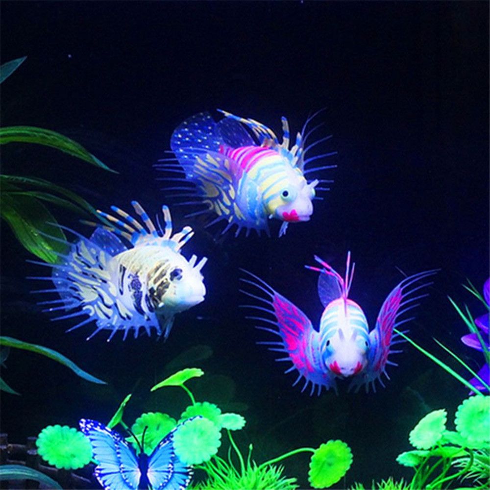 Peixe Luminoso