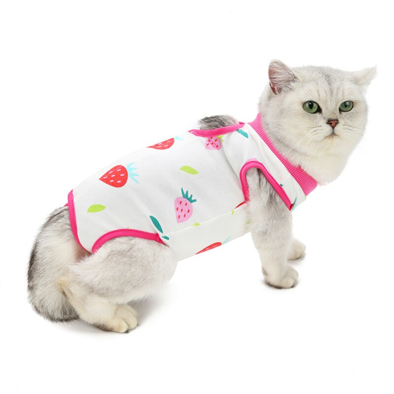 Roupa cirúrgica para gatos