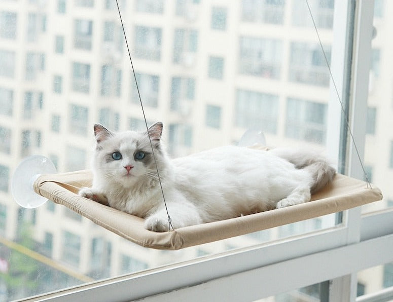 Cama suspensa para gatinhos