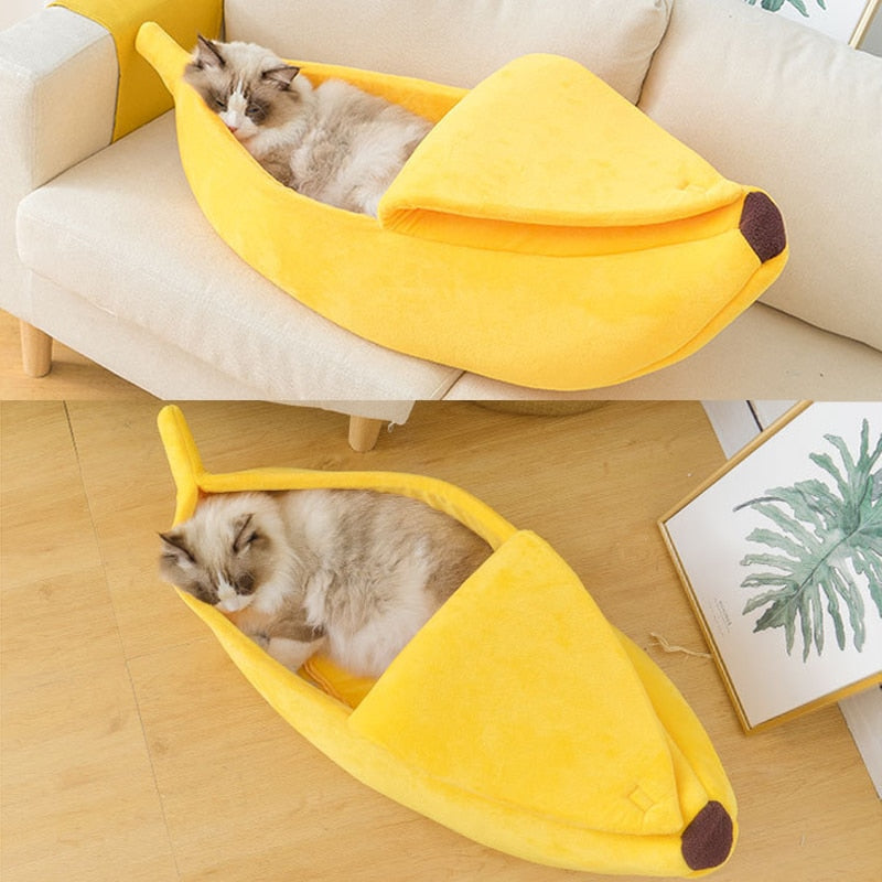 Caminha para Pet Banana