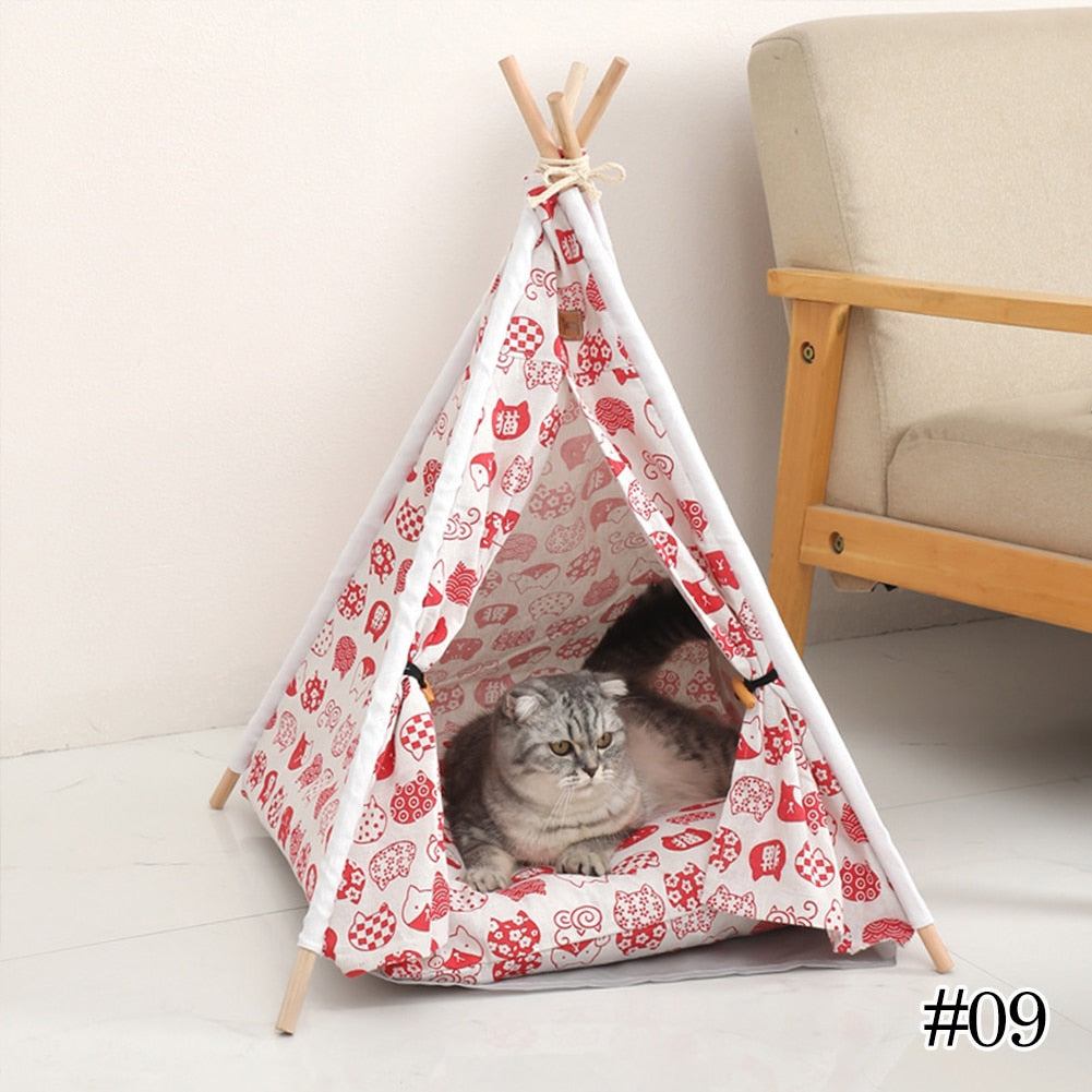 Tenda caminha para pets