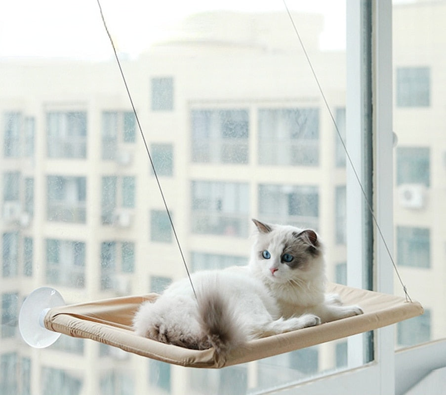 Cama suspensa para gatinhos