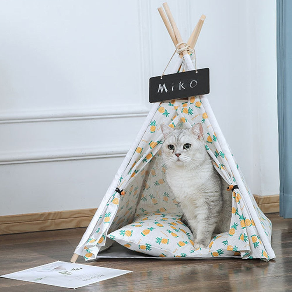 Tenda caminha para pets