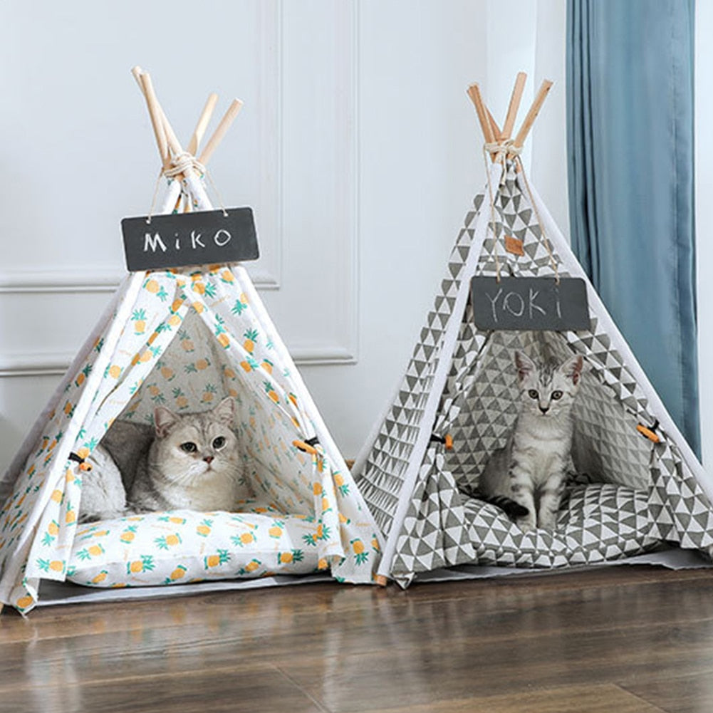 Tenda caminha para pets