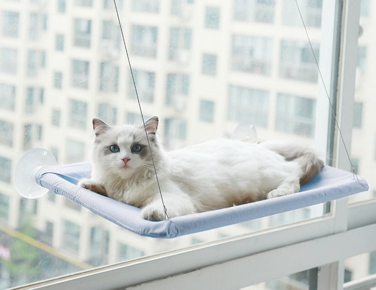 Cama suspensa para gatinhos