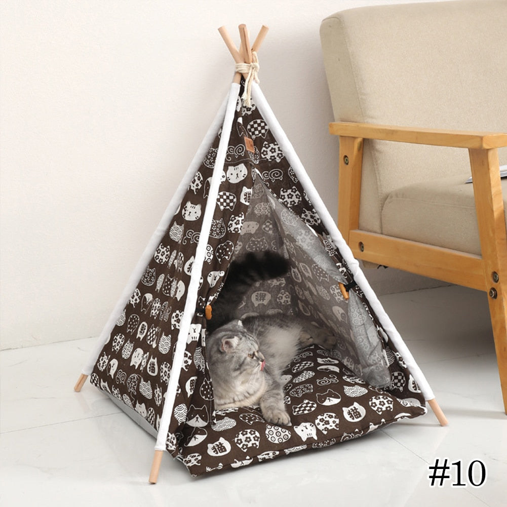 Tenda caminha para pets