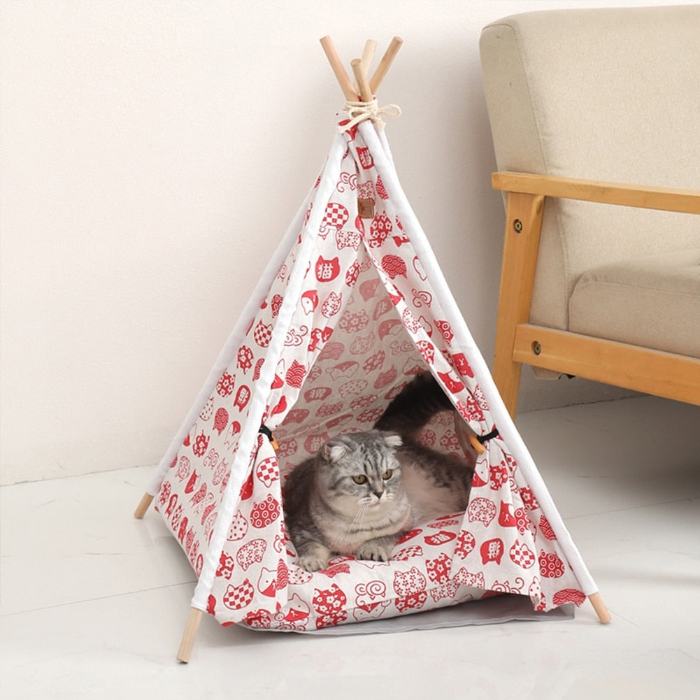 Tenda caminha para pets