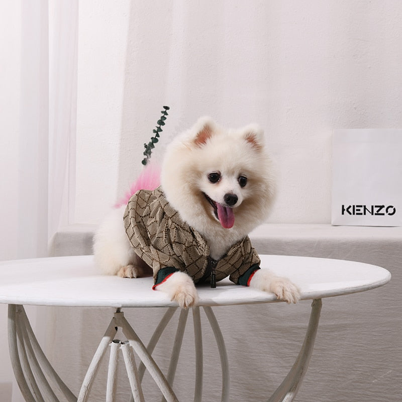 Jaqueta frio fashion para pets